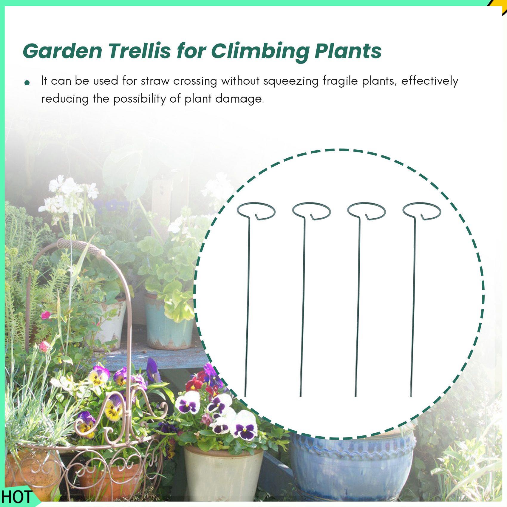 Awah 8 pçs suporte de planta b - Bonsai Garden Backyard avaliação e preço