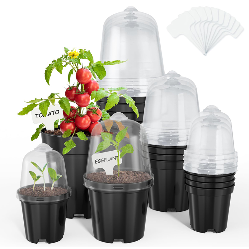 Vasos de Viveiro, Vasos de Flo - Bonsai Garden Indoor avaliação e preço