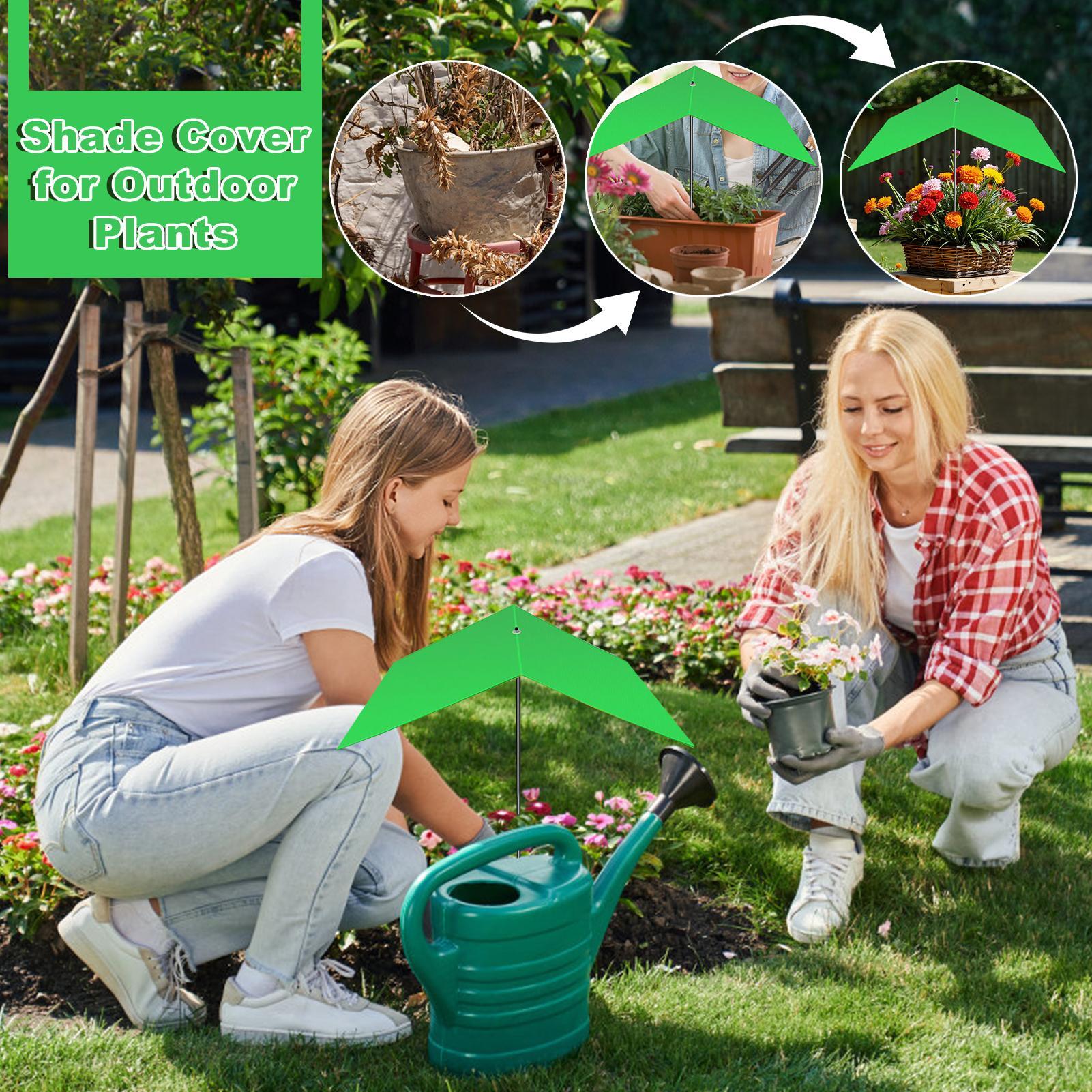 Guarda-chuva para plantas, ant - Bonsai Garden Backyard avaliação e preço
