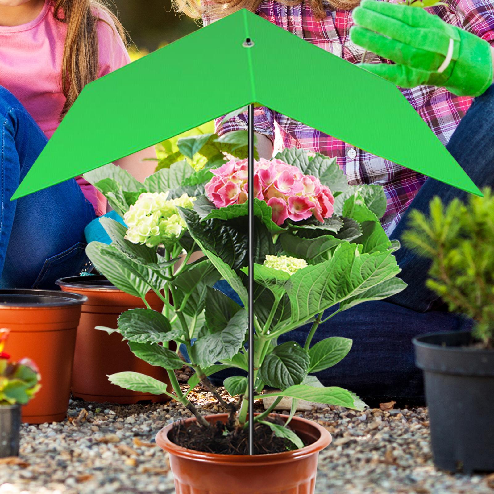 Guarda-chuva para plantas, ant - Bonsai Garden Backyard avaliação e preço