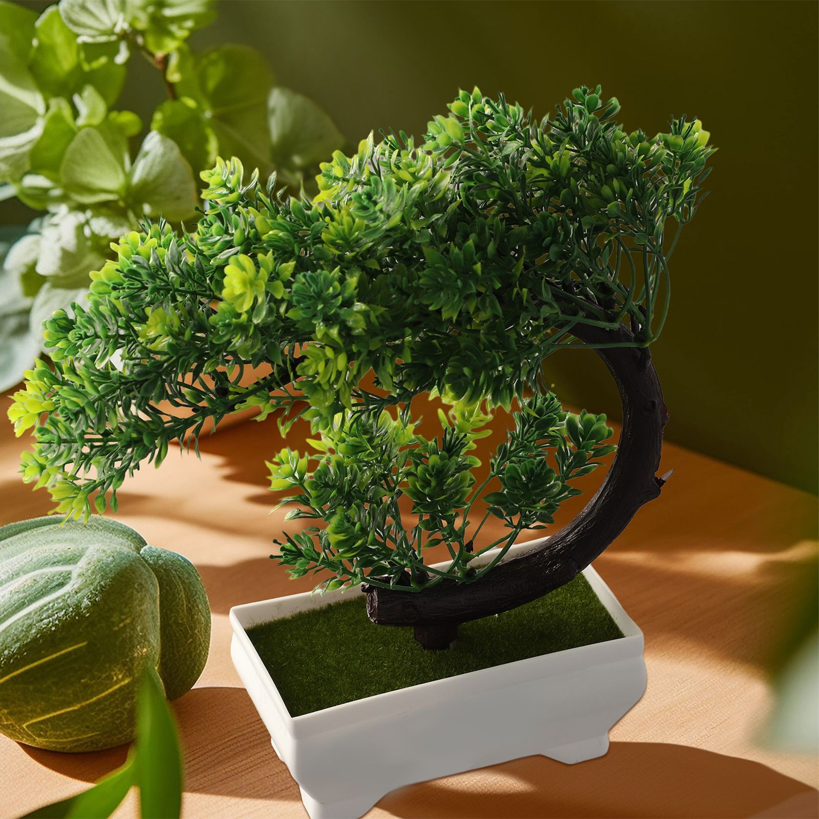 Ornamento de bonsai em vaso de - Bonsai Garden Indoor avaliação e preço