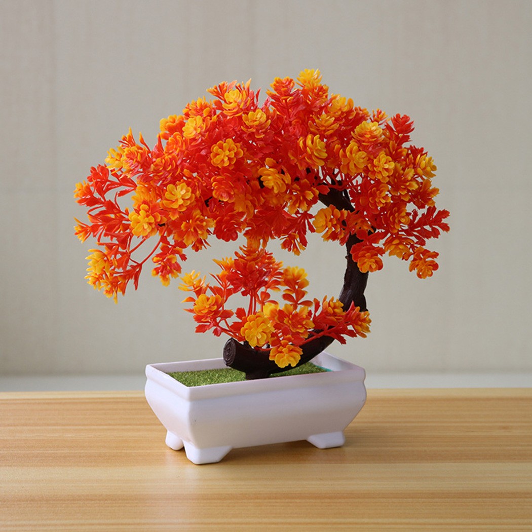 Ornamento de bonsai em vaso de - Bonsai Garden Indoor avaliação e preço