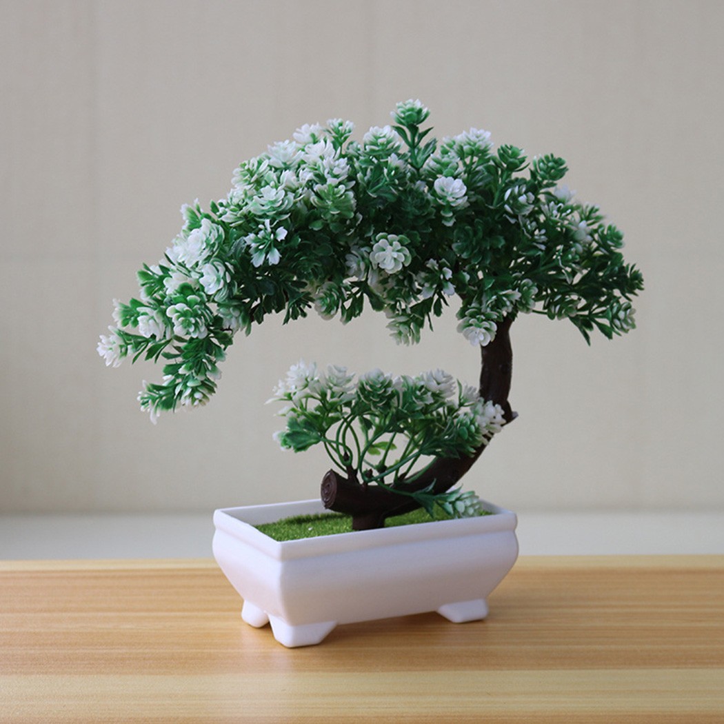 Ornamento de bonsai em vaso de - Bonsai Garden Indoor avaliação e preço