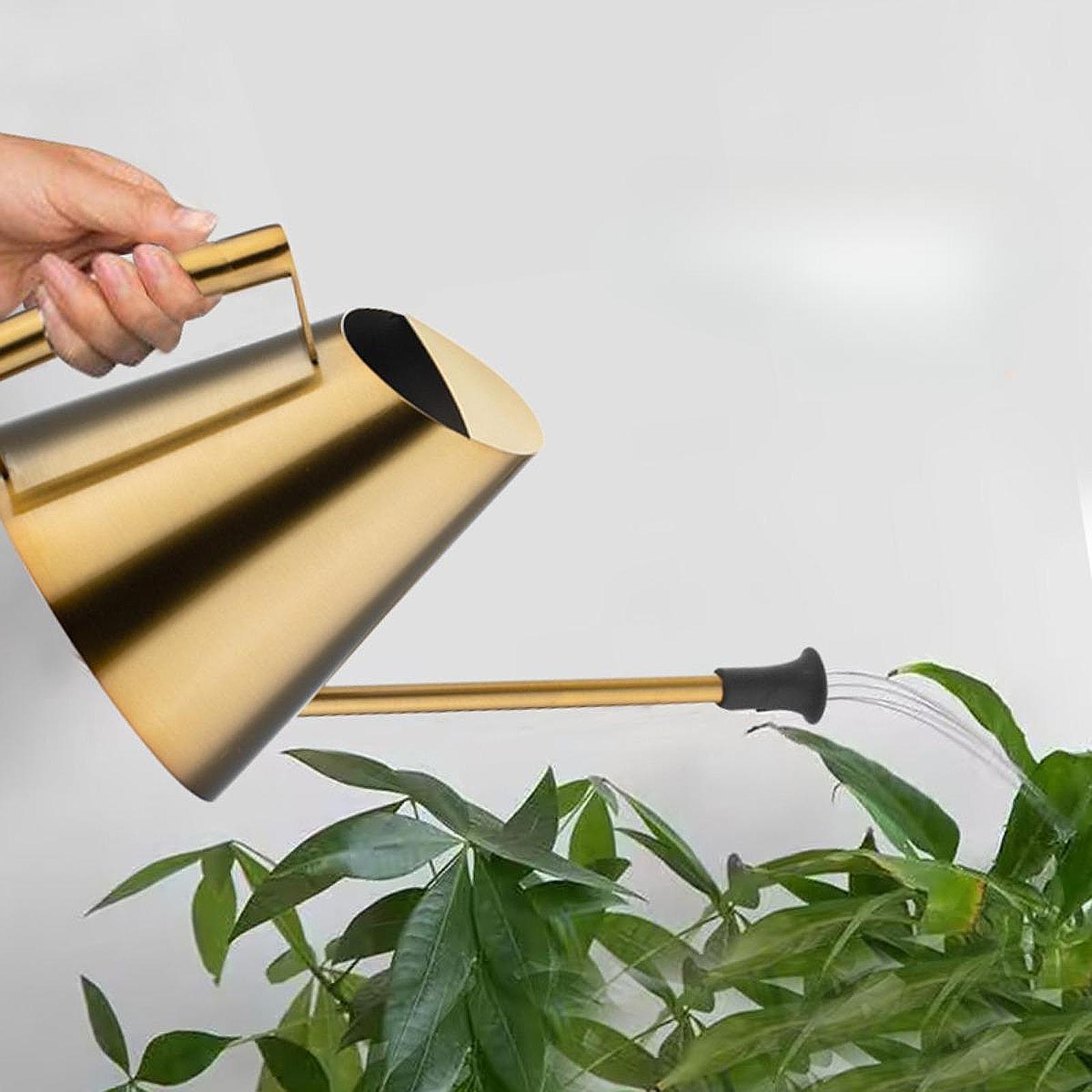 Regador de 900ml com Bico Pulv - Bonsai Garden Backyard avaliação e preço