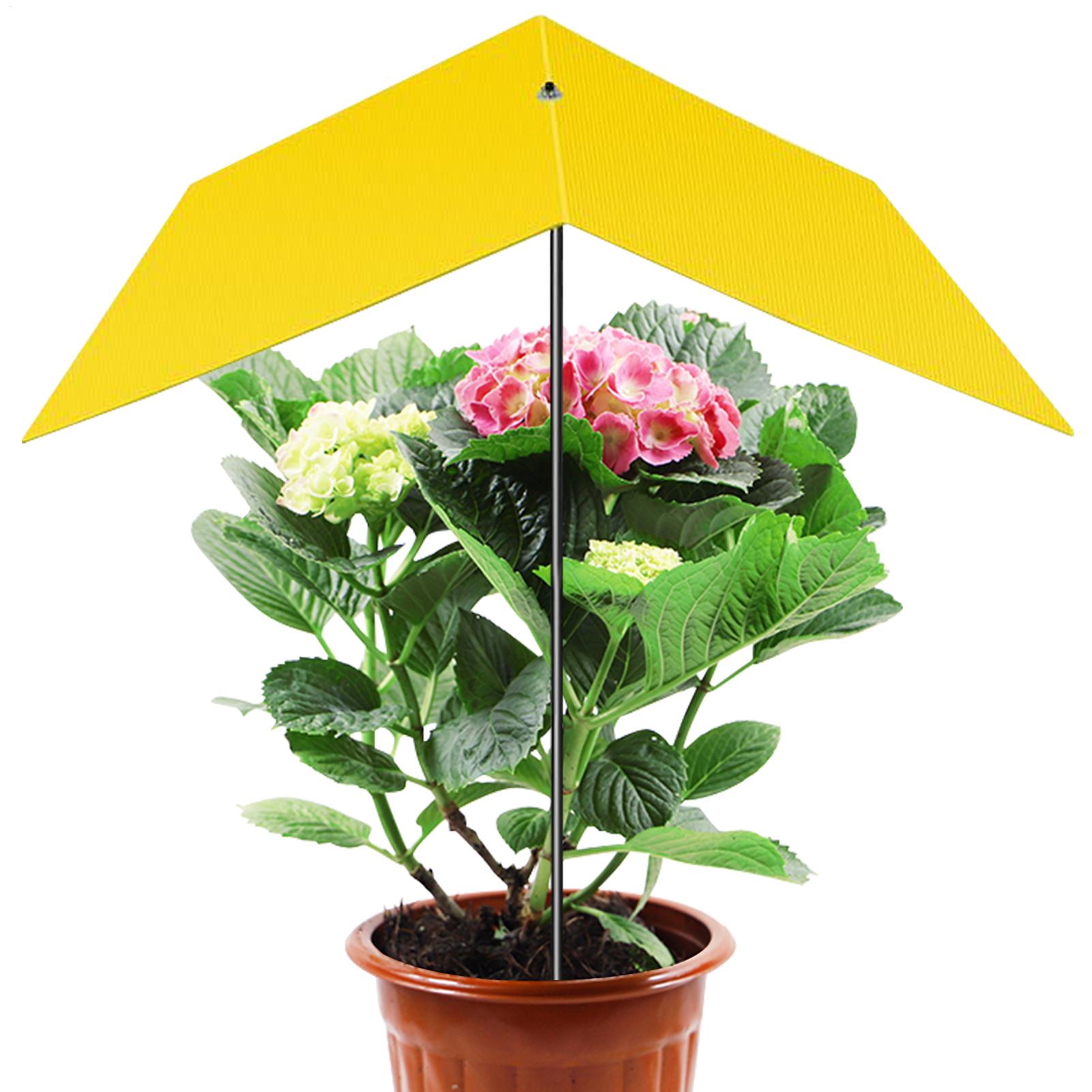 Guarda-sóis para plantas exter - Bonsai Garden Backyard avaliação e preço